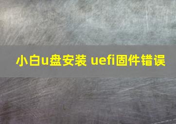 小白u盘安装 uefi固件错误